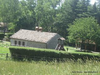 fugio Trearie-11-06-2016 11-45-34